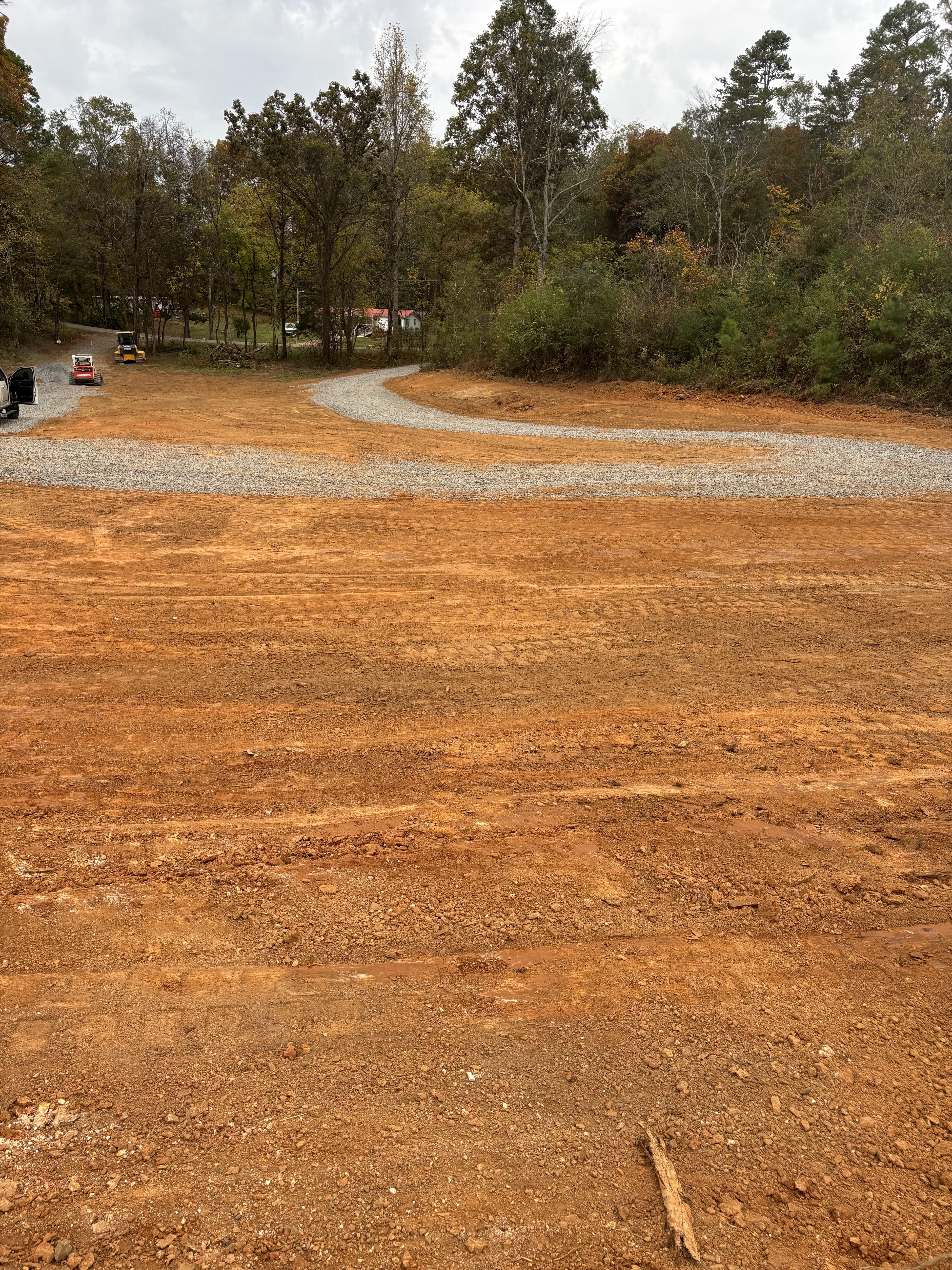 Trish W. testimonial