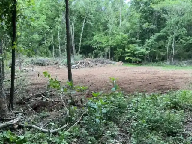 Wooded lot freshly cleared of brush and small trees by R&G Land Clearing