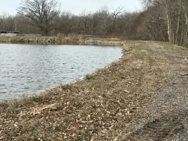 Pond bank opened up after mulching