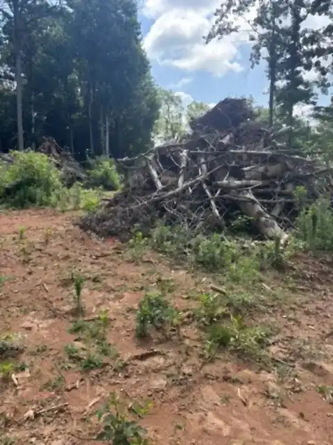 Brush pile from a lot clearing, R&G Land Clearing