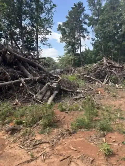 Brush and stumps pulled from a lot, R&G Land Clearing