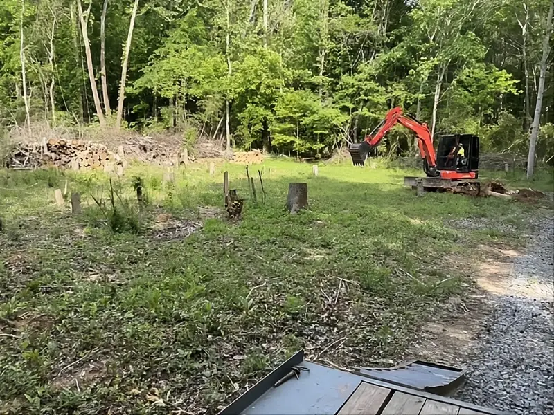 rg-land-clearing-stump-removal-old-fort-tn